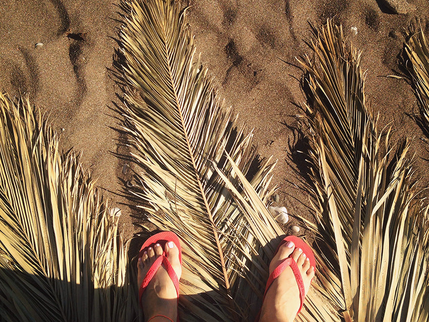Your Summer Must-Have List