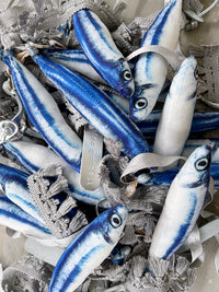 SARDINE - fish charm