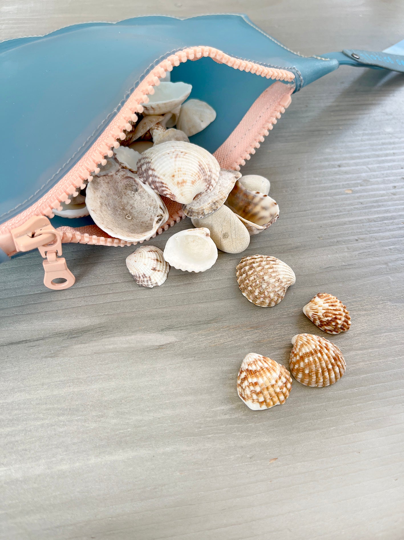 SHELL pouch - pvc ciel