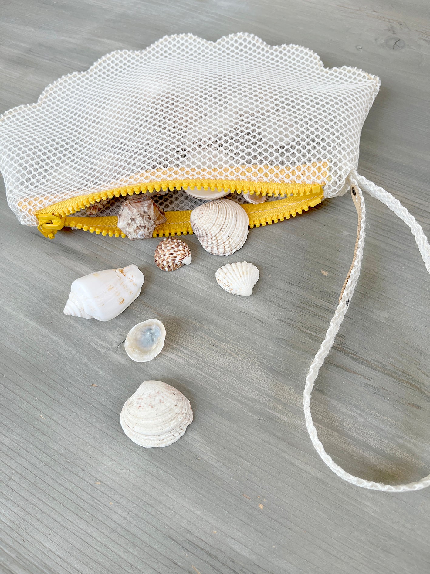 SHELL pouch - file ecru